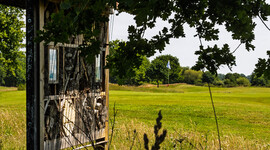 Oproep commissie biodiversiteit